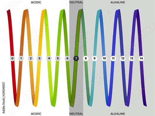 Misurazione della scala pH, infografica. Tutti i passaggi da acido a neutrale ad alcalino. Il pH è una scala di misura dell'acidità o della basicità di una soluzione acquosa