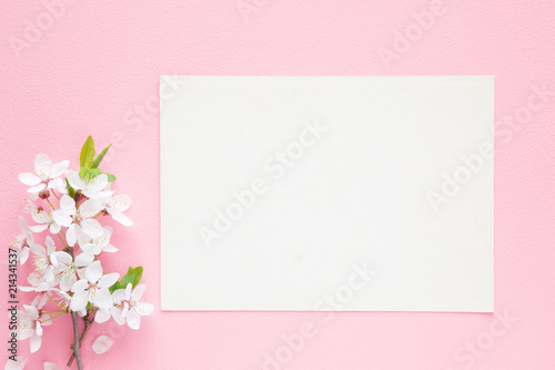 Blank greeting card. Fresh branches of cherry white blossoms on pastel pink background. Soft light color. Bouquet of flower. Empty place for inspirational, motivational text or quote.