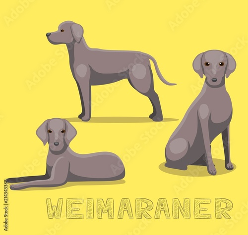 Dog Weimaraner Cartoon Vector Illustration