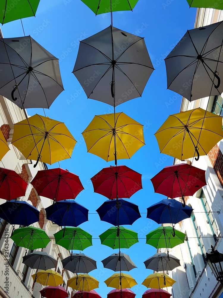 Obraz premium Umbrella