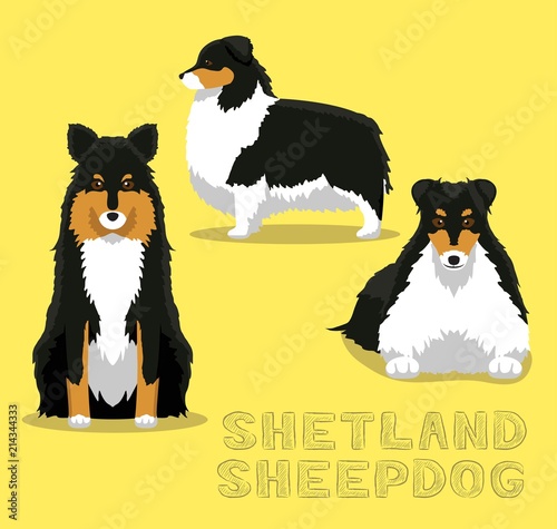 Dog Shetland Sheepdog Cartoon Vector Illustration