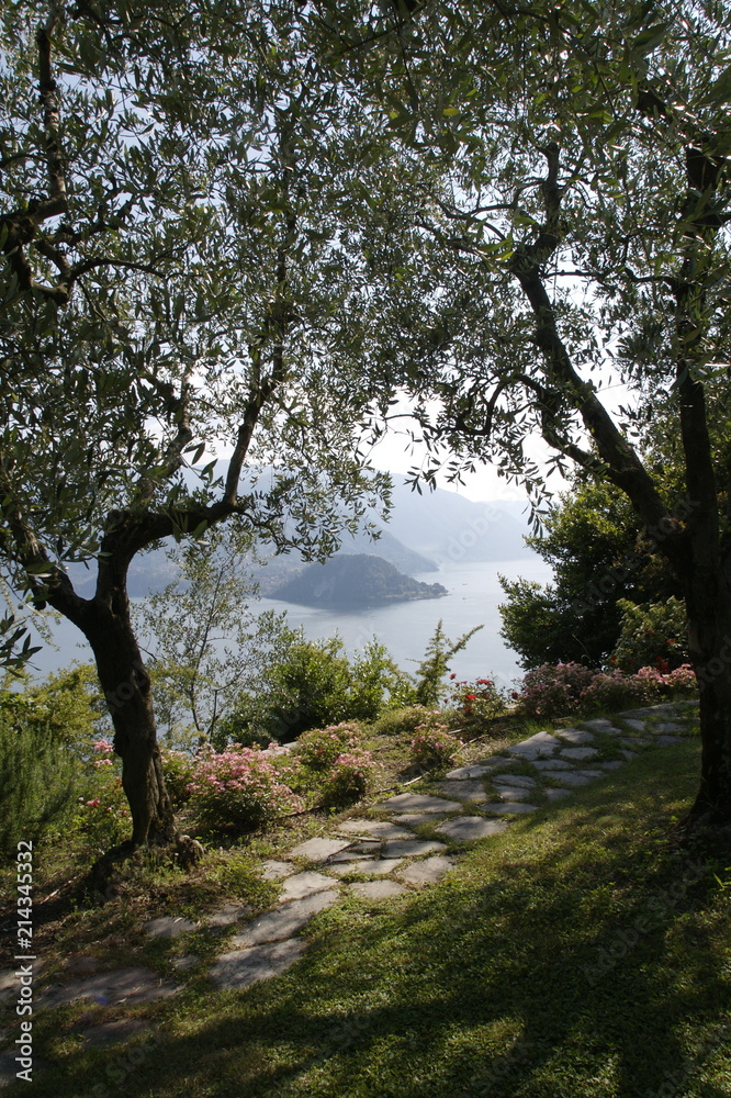 panorama panorama