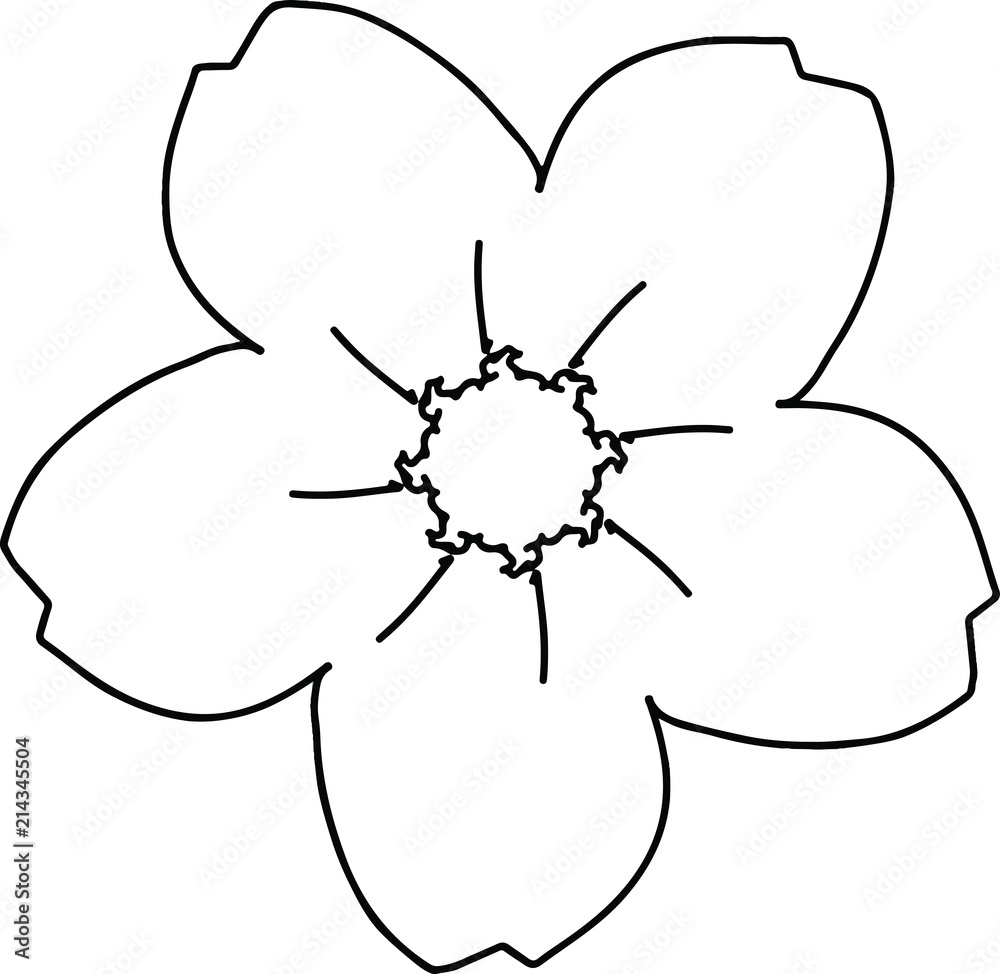 Five petals cherry blossom drawing in black and white Five petals cherry blossom drawing in black and white