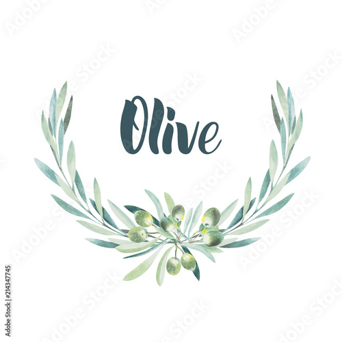 Watercolor olive branch. Sketch of olive branch on white background