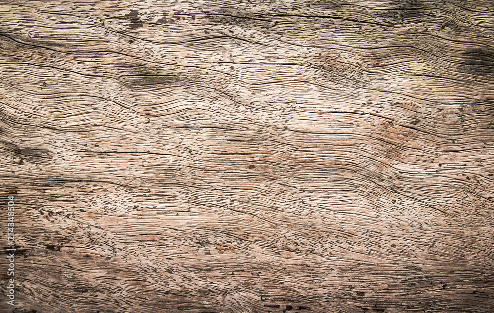 Wood texture background Wood texture background