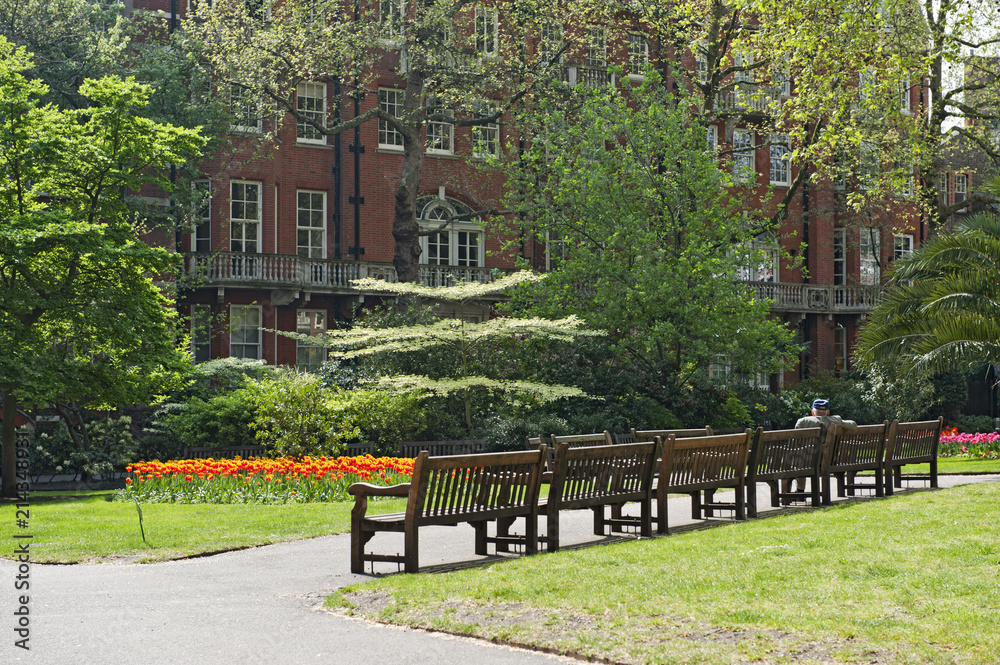 Obraz premium Mount Street Gardens, Mayfair, London, England, Grossbritannien, United Kingdom, Vereinigtes Königreich, UK, GB