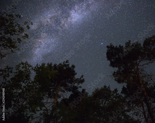 Milky Way in the night sky over the forest