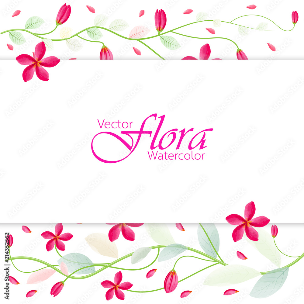 Vector illustrations of flora isolated in the form of watercolor.