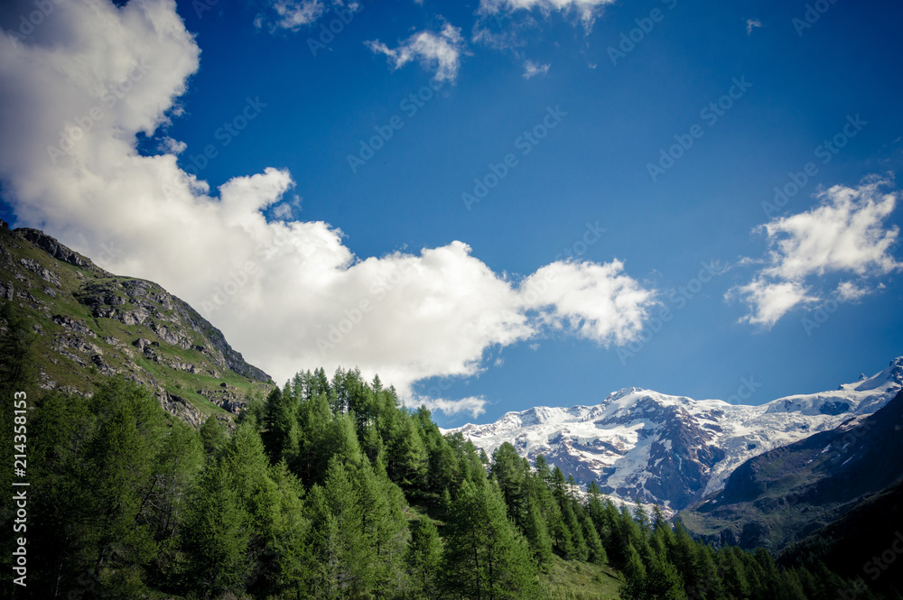 Fototapeta premium Panoramic view of the alpine valley of Gressoney Monte Rosa