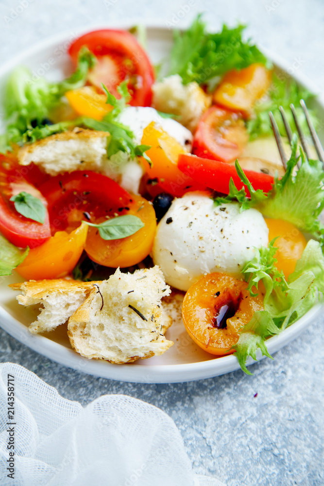 Close up of original panzanella salad with mozarella, toasted baguette, tomatoes and plums on rustic background. Summer cuisine concept Close up of original panzanella salad with mozarella, toasted baguette, tomatoes and plums on rustic background. Summer cuisine concept