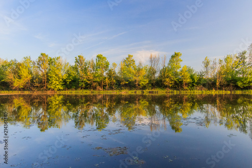 Autumn river reflection with trees