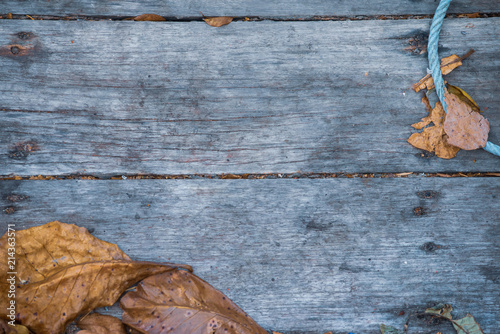 Fotografie Abstract Autumn Leaves over wooden background