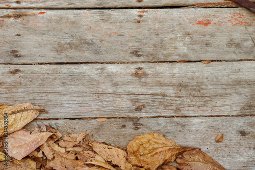 Fotografie Abstract Autumn Leaves over wooden background