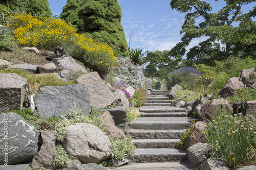 Wall Mural Footpath in Botanical Garden; Copenhagen
