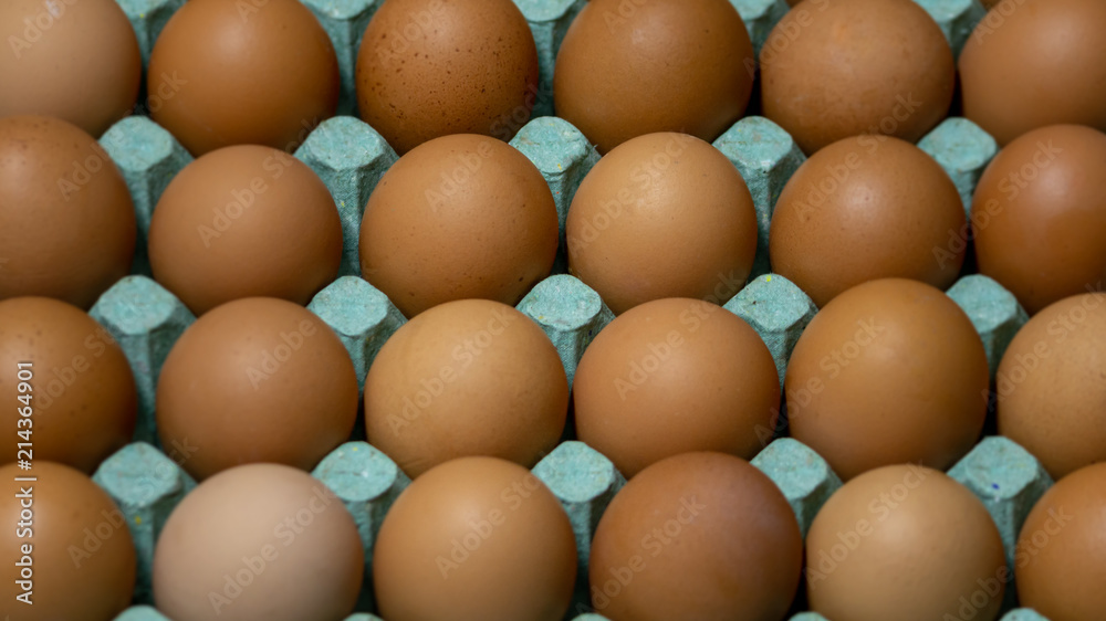 A close-up angle view of a green tray with many brown eggs in a parallel and straight layout with focus in the center of the tray and blurring along the edges