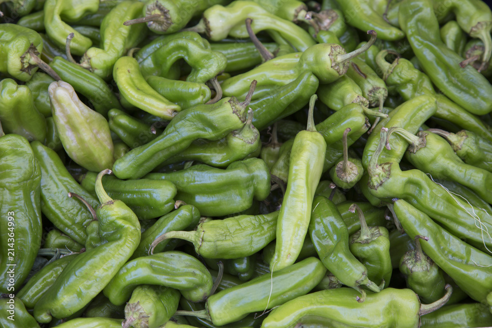 Green Pepper Background Green Pepper Background