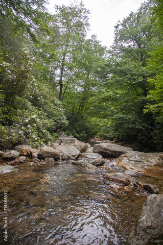 Rocky Creek in Mountains