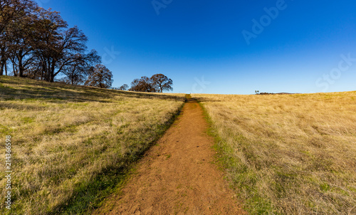 Foot path going up hill © James Sakaguchi
