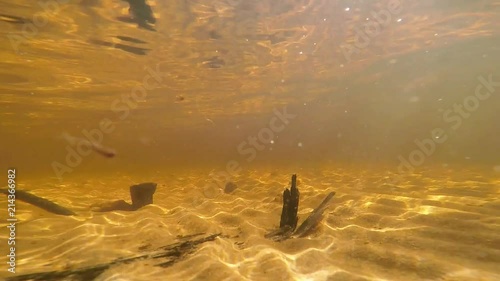 Underwater shot of sandy lakebed with burnt wood. photo