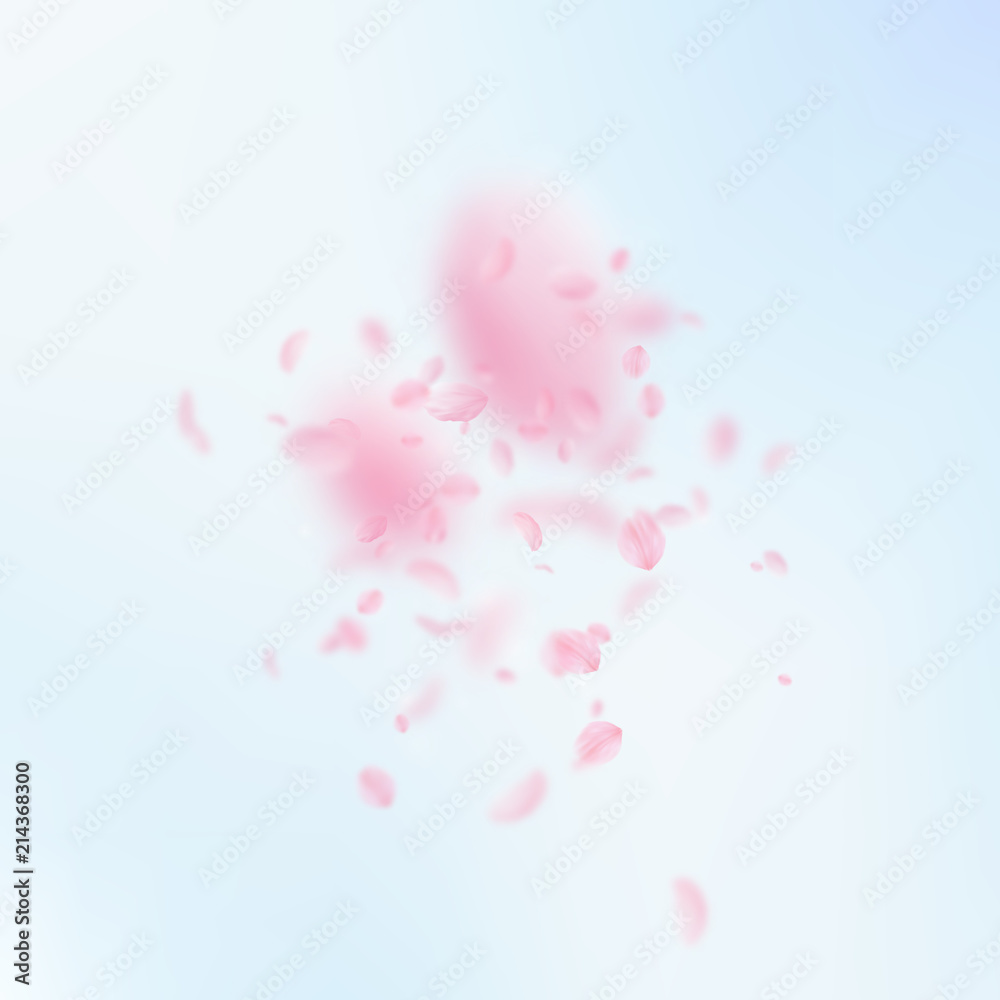 Sakura petals falling down. Romantic pink flowers explosion. Flying petals on blue sky square background. 