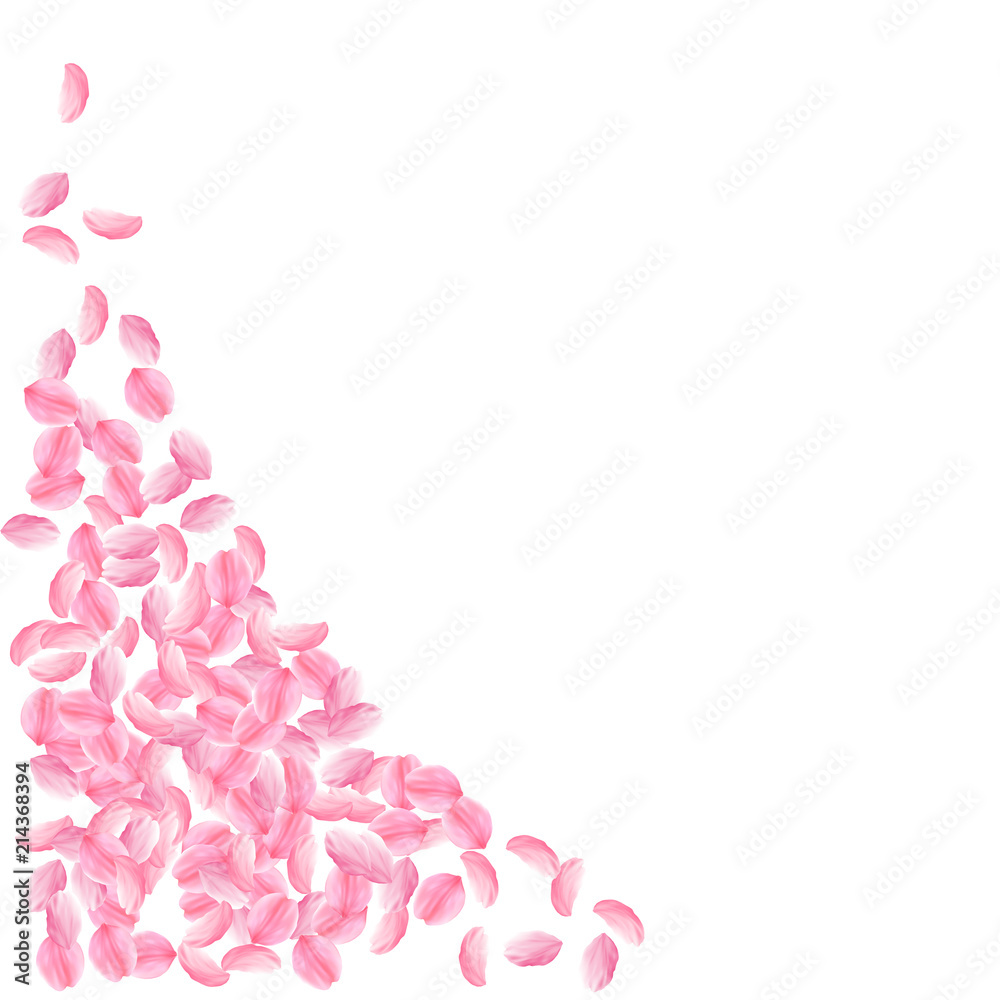 Sakura petals falling down. Romantic pink bright medium flowers. Thick flying cherry petals. 