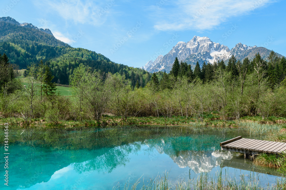 A beautiful spring season at Zelenci lake in Kranjska Gora, Slovenia
