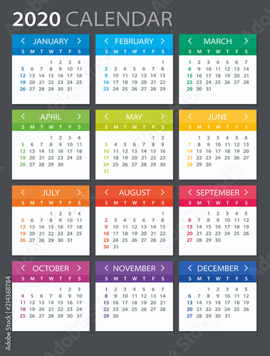 2020 Calendar - illustration. Template. Mock up