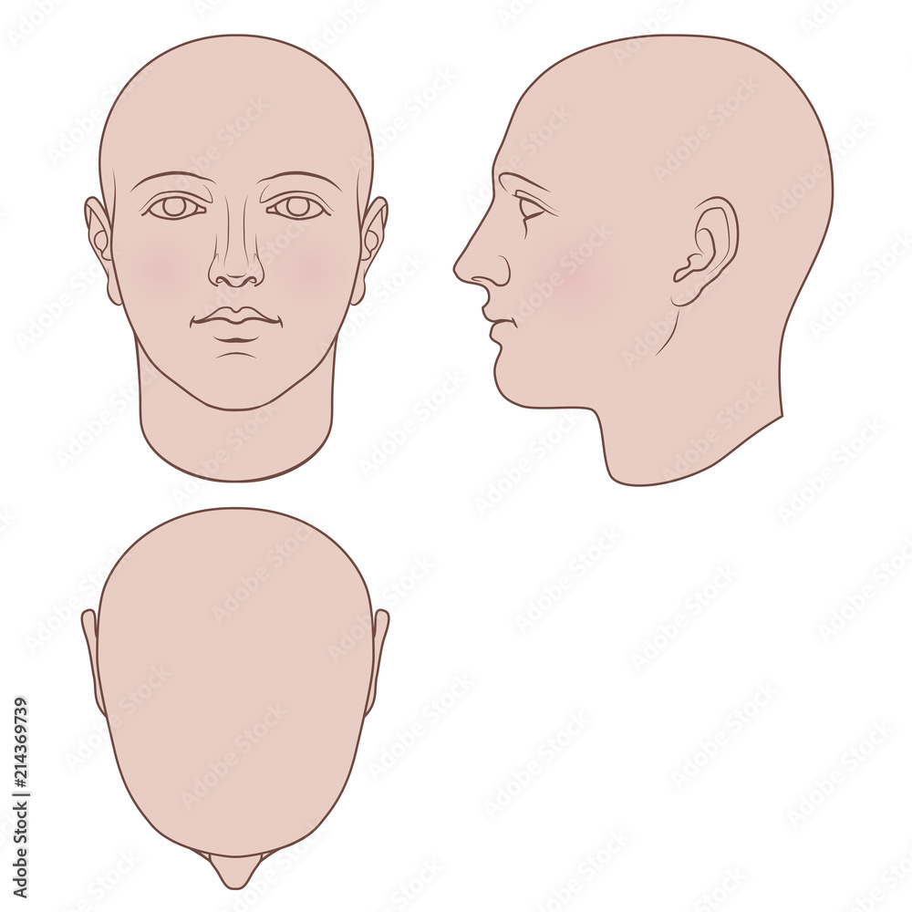 Naklejka premium Hand drawn androgynous, gender-neutral human head in face, profile and top views. Flat vector isolated on white background. The drawings can be used independently of each other.