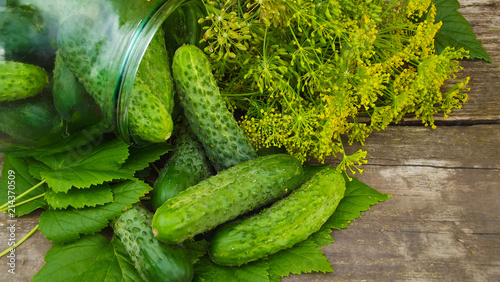 We preserve cucumbers with dill.Preparations for the winter.