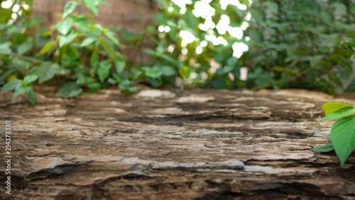 Platform for product ,stone floor with leaf 