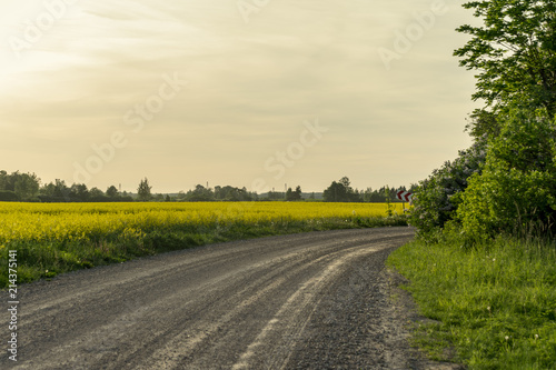 simple country road in summer