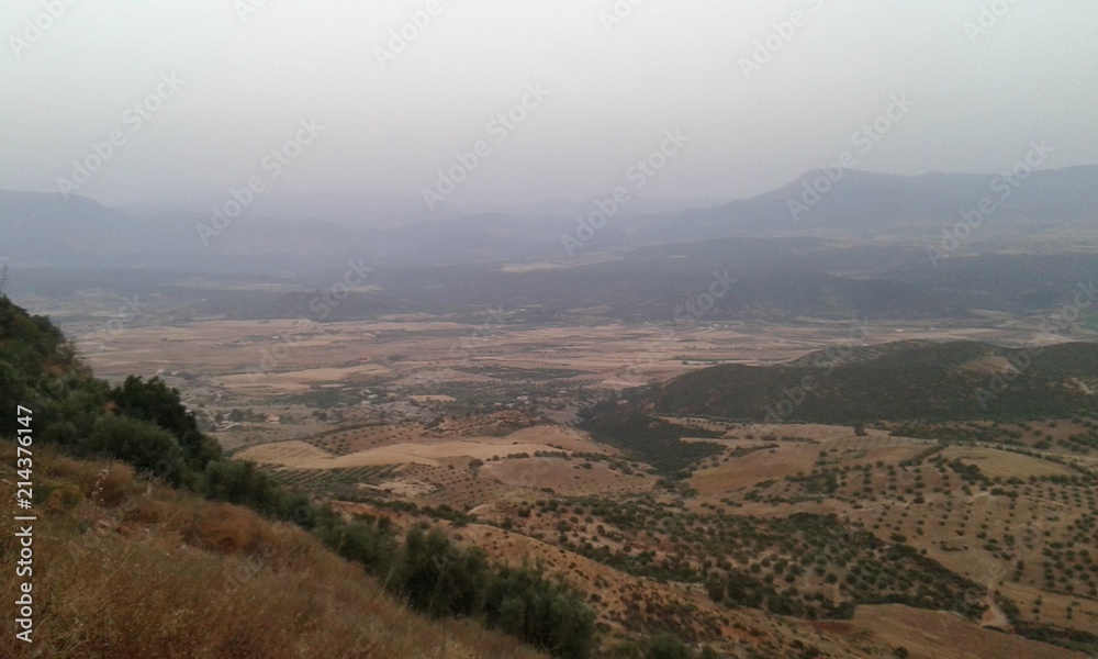 Landscape Landscape