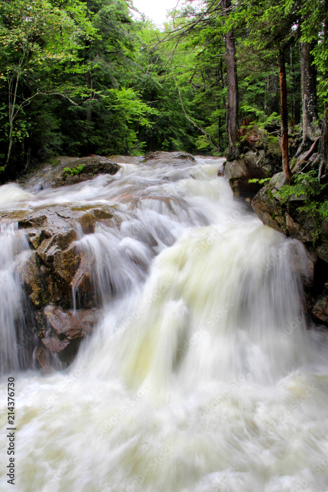 cascading waterfall in the woods cascading waterfall in the woods