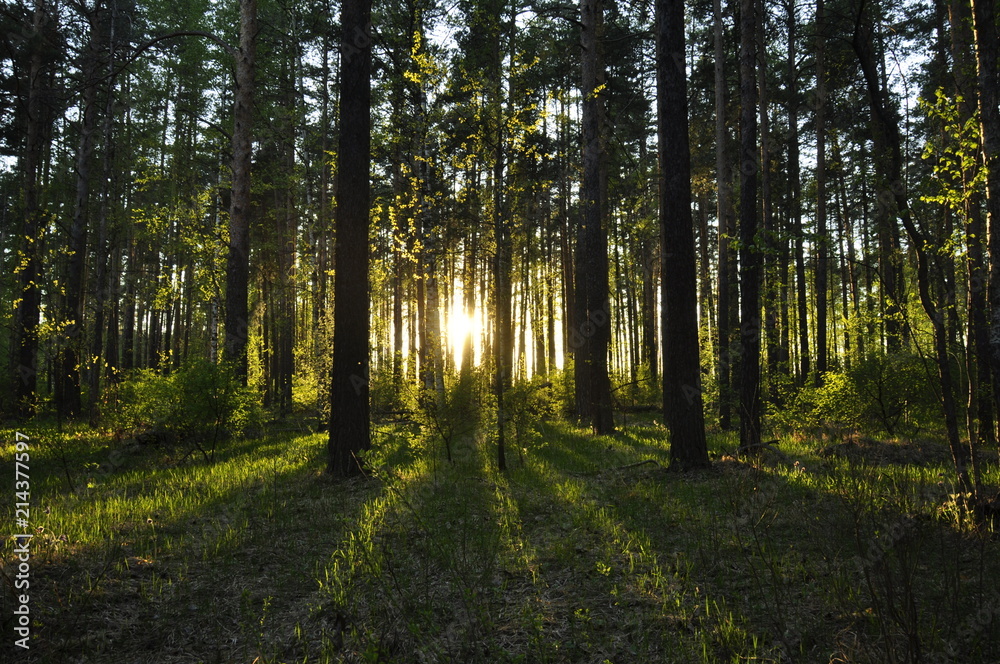 Nature,Landscape Nature,Landscape