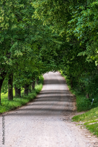 simple country road in summer © Martins Vanags