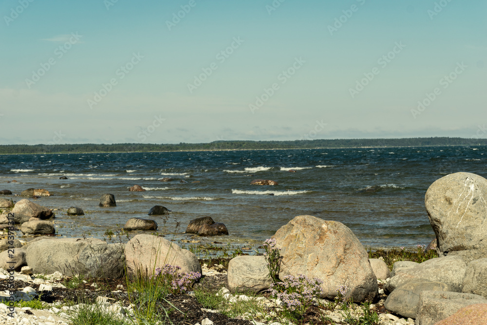 rocky sea beach with waves and sunny day