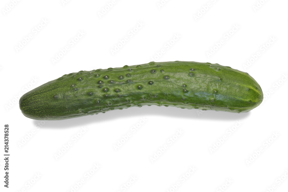 fresh, green cucumber close up isolated on a white background with a shadow fresh, green cucumber close up isolated on a white background with a shadow