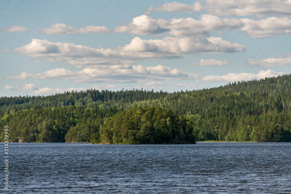 Beautiful swedish lake landscape