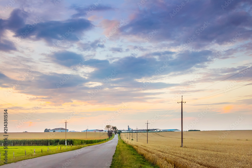 A road among agricultural land. Scenic sky with clouds in the field during the sunset_
