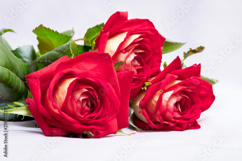 Bouquet of red roses to greet the newlyweds on the wedding day. A gift for a lovely girl_