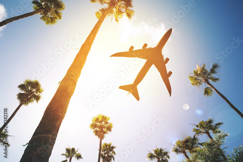 Low angle view of a plane flying in the sky surrounded by palm trees
