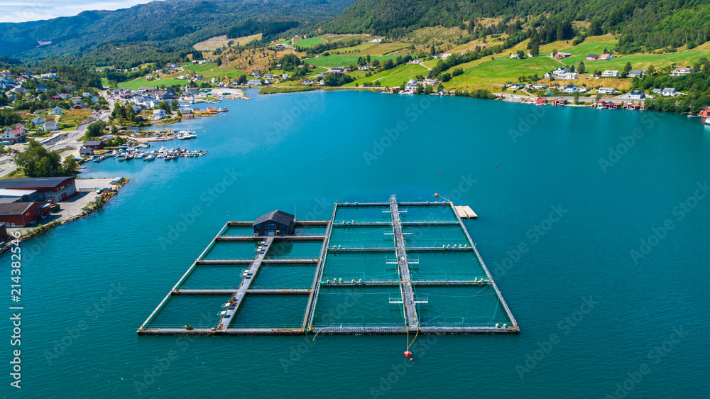 Salmon fish farm in fjord. Olen, Norway.
