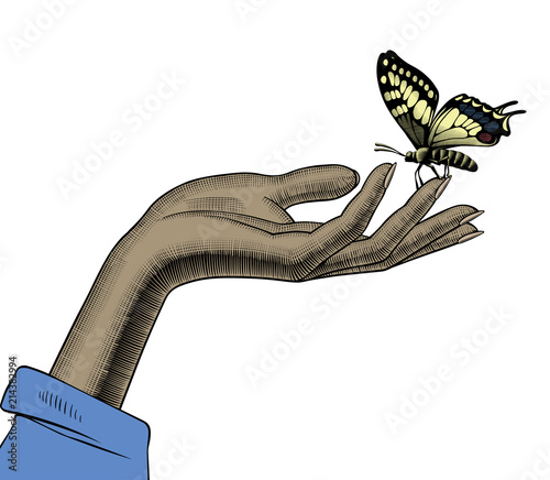 Female hand with a butterfly sitting on her fingers