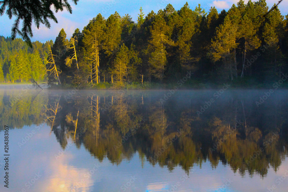 reflet reflet