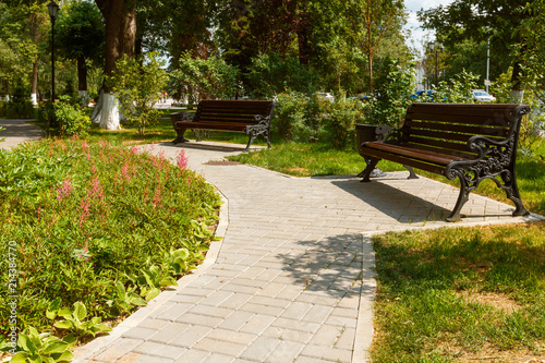 Fototapeta Naklejka Na Ścianę i Meble -  paved path in the city Park
