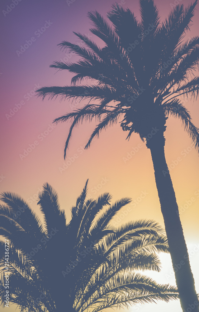 Naklejka premium Retro Vibrant Hawaii Palm Trees