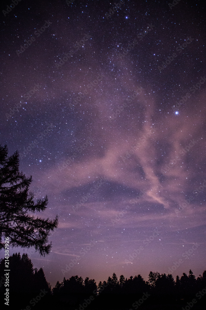 Fototapeta premium Sternenhimmel mit Baum