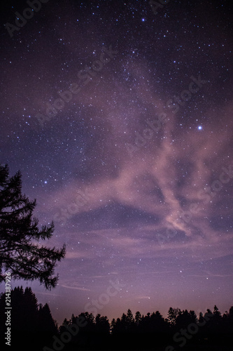 Sternenhimmel mit Baum