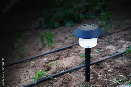 Fototapeta Naklejka Na Ścianę i Meble -  Solar decorative spot light Spotlight put in ground in garden