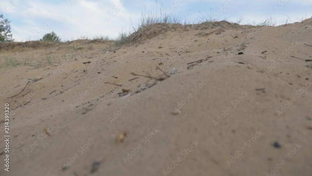 Fat bike also called fatbike or fat-tire bike in summer riding in the sand hill. The guy is riding a bicycle on a sand hill. He rides and sinks in the sand. He tries to perform tricks.